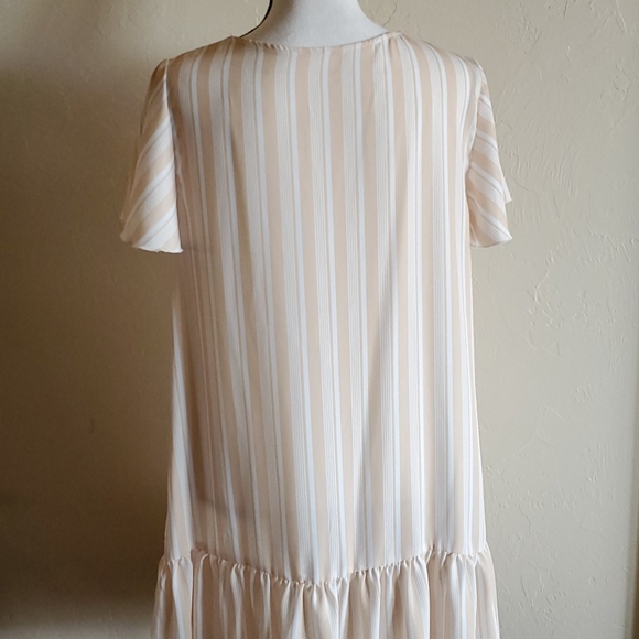 NWOT Button Down Striped Dress - Picture 5 of 6